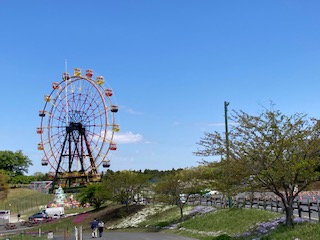 東京ドイツ村 デートも遊びもok いつ誰と行っても楽しめる せっせと雨宿り